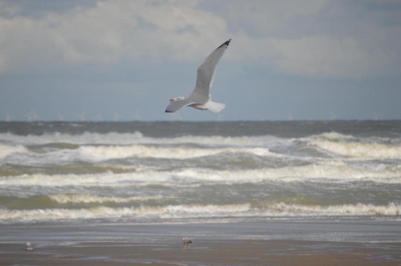Hébergement de vacances Huisjes Aan Zee